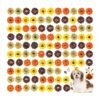 Holiday Party Dog Hair Bow Accessories with Thanksgiving Pumpkin Christmas Style