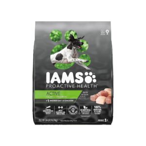 Holistic Food for Adult Dogs with Real Chicken and Turkey Protein