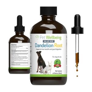 Holistic Pet Care Supplement for Liver Digestive Cardiovascular Support