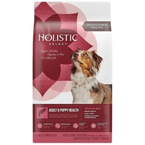 Holistic Select Grain Free Dry Dog Food with Salmon Anchovy Sardine Recipe for Puppies