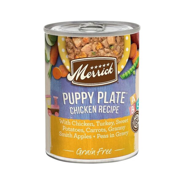 Holistic Wet Dog Food for Puppies with Gluten-Free Chicken, Vegetables, and Gravy