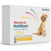 Home Dog Food Intolerance and Sensitivity Test for Optimal Health and Weight Management