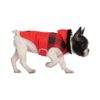 Hooded and Leash Hole Dog Puffer Jacket with Faux Fur Trim and Belt