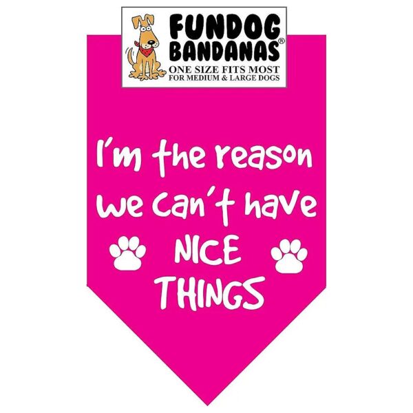 Hot Pink Dog Bandana for Medium to Large Dogs One Size Fits Most