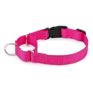 Hot Pink Nylon Martingale Dog Collar with Quick Snap Buckle for Small to Large Dogs