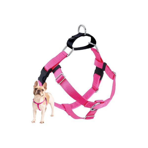 Hot Pink Solid Color Adjustable Dog Harness for Small to Medium Dogs