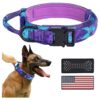 Hotsky Adjustable Heavy Duty Dog Collar with Metal Buckle and Patches for Large Dogs