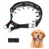 Humane Dog Pinch Collar for Behavior Correction with 8 Extra Comfort Tips and Snap Buckle