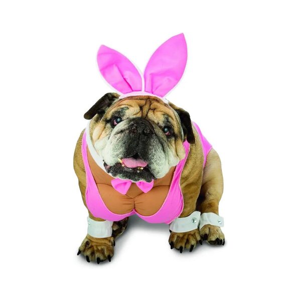 Hunny Bunny Dog Costume Medium With Leg Cuffs Fantasy Fiction Adorned Animal Wear