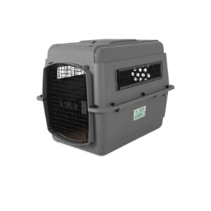 IATA Compliant Dog Crate for Medium Pets 30-50 Pounds with Ready-to-Fly Essentials