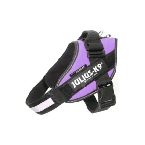 IDC Powerharness Purple Chest Harness for Small to Medium Breed Dogs