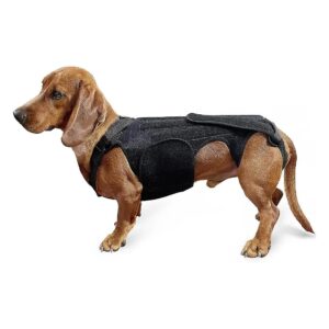 IVDD and Herniated Disc Back Braces for Dachshunds and Small Breed Dogs