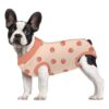 Ideal Dog Recovery Suit for Dogs After Surgery - Comfortable, Protective, and Breathable