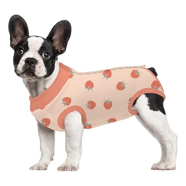 Ideal Dog Recovery Suit for Dogs After Surgery - Comfortable, Protective, and Breathable