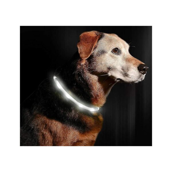 Illuminated Dog Necklace with Lifetime Guarantee and USB Recharge