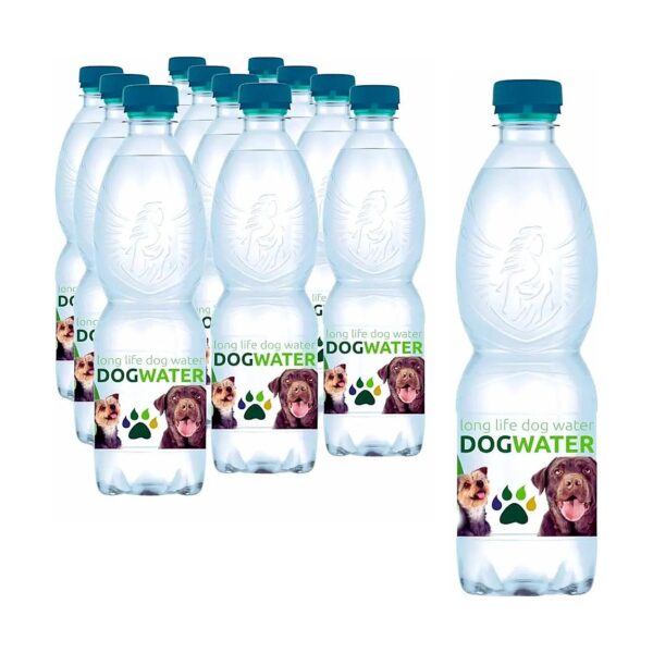 Improved Dog Hydration and Vitality with pH Balanced Spring Water and Electrolytes