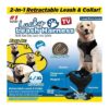 In-1 Leash Collar for Durability and Comfort