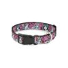 Inch Wide Buckle Down Clip Collar with Floral Collage Pinks and Grays Design