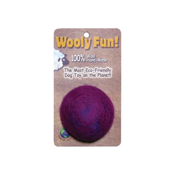 Inch Wooly Fun Ball Interactive Dog Toy Durable Suitable Any Breed