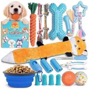 Includes Dog Nail Clippers and Files, Toothbrush, and More, Small Medium Dog Essentials