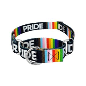 Inclusive Support Rainbow Flag Dog Collar Pride Training Collar for Dogs