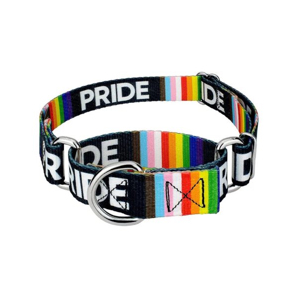 Inclusive Support Rainbow Flag Dog Collar Pride Training Collar for Dogs