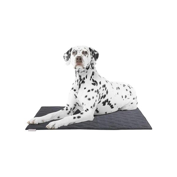 Indestructible Dog Crate Pad Mat for Small Breeds with Chew Resistant Fabric