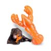 Indestructible Dog Toys for Large Dogs Aggressive Chewers Tough Chew Toys