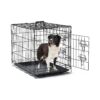 Indoor Metal Dog Crate with Double Doors and Collapsible Design for Small Dog Owners