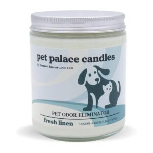 Indoor Odor Eliminator Candle with Soy Wax and Natural Fragrance