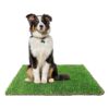 Indoor Outdoor Dog Potty Replacement Turf Soft Green Pet Grass for Convenience