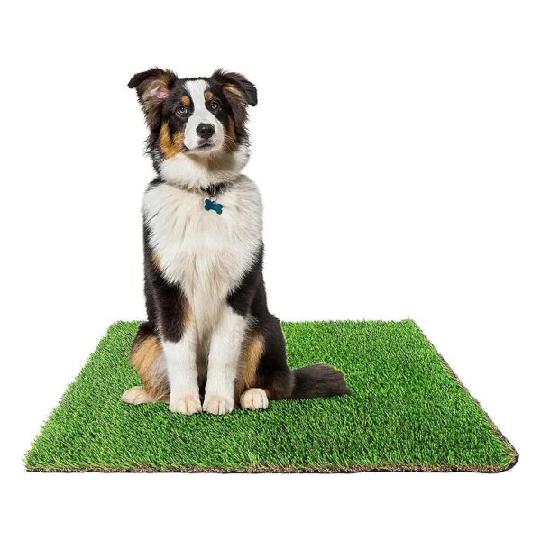 Indoor Outdoor Dog Potty Replacement Turf Soft Green Pet Grass for Convenience