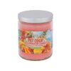 Indoor Pet Odor Elimination Candle Set Mango 13 Ounce Paraffin Wax Pair