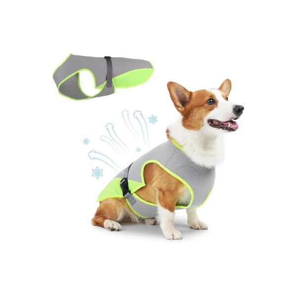 Indoor and Outdoor Cooling Dog Vest with Breathable Mesh Fabric for Small Dogs Size S