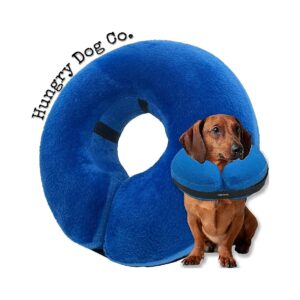 Inflatable Dog Collar for Recovery Comfortably Supports Pets with Soft E-Collar