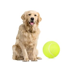 Inflatable Dog Tennis Ball for Small Medium Large Dogs - Wear-Resistant and Fun