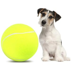 Inflatable Pet Tennis Ball for Daily Play and Outdoor Adventures with Canines