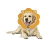 Inflatable Soft Cone for Dog and Cat Recovery After Surgery or Wounds Preventing Licking