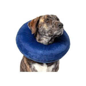 Inflatable Wound Protection Collar for Large Breed Dogs