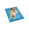 Injected Cooling Mat for Dogs and Cats, Perfect for Summer Care