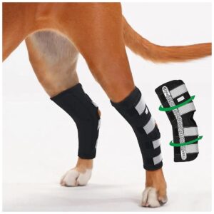 Injured Dog Rear Leg Hock Braces for Arthritis Relief and Stability Support