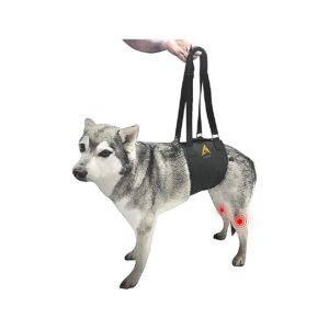 Injured Senior Dog Support Harness for Small Breeds Providing Easy Mobility Assistance