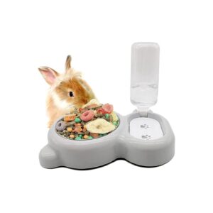 Innovative Pet Feeding System with Automatic Waterer and Food Bowl for Multiple Pets