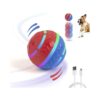 Innovative Rolling Ball for Small Medium Large Dogs with LED Lights for Endless Fun