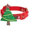 Inspired Dog Collar with Small Breed Size, Adjustable 12-16" Neck, Polyester Material