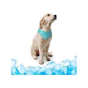 Instant Cooling Bandana for Dogs in Summer Made of Non Toxic Premium Polyester Fiber