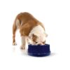 Insulated Cooling Pet Bowl for Multiple Pets, Great for Dogs and Cats, 96 Ounces Capacity