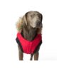 Insulated Parka for Dogs with 9-11 Inch Back Length and Functional Pockets