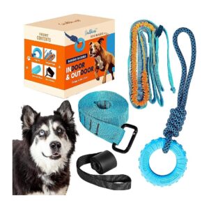 Interactive Adjustable Bungee Tug Toy for Dogs with Hanging Door Decoration