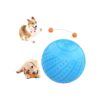 Interactive Dog Toy Ball 3 with Irregular Rolling and Crazy B